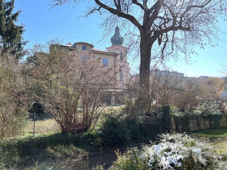 Apartman U Labe Decin Buitenkant foto