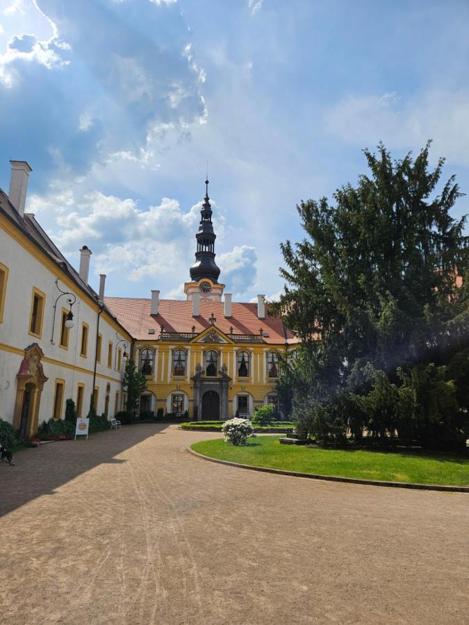 Apartman U Labe Decin Buitenkant foto